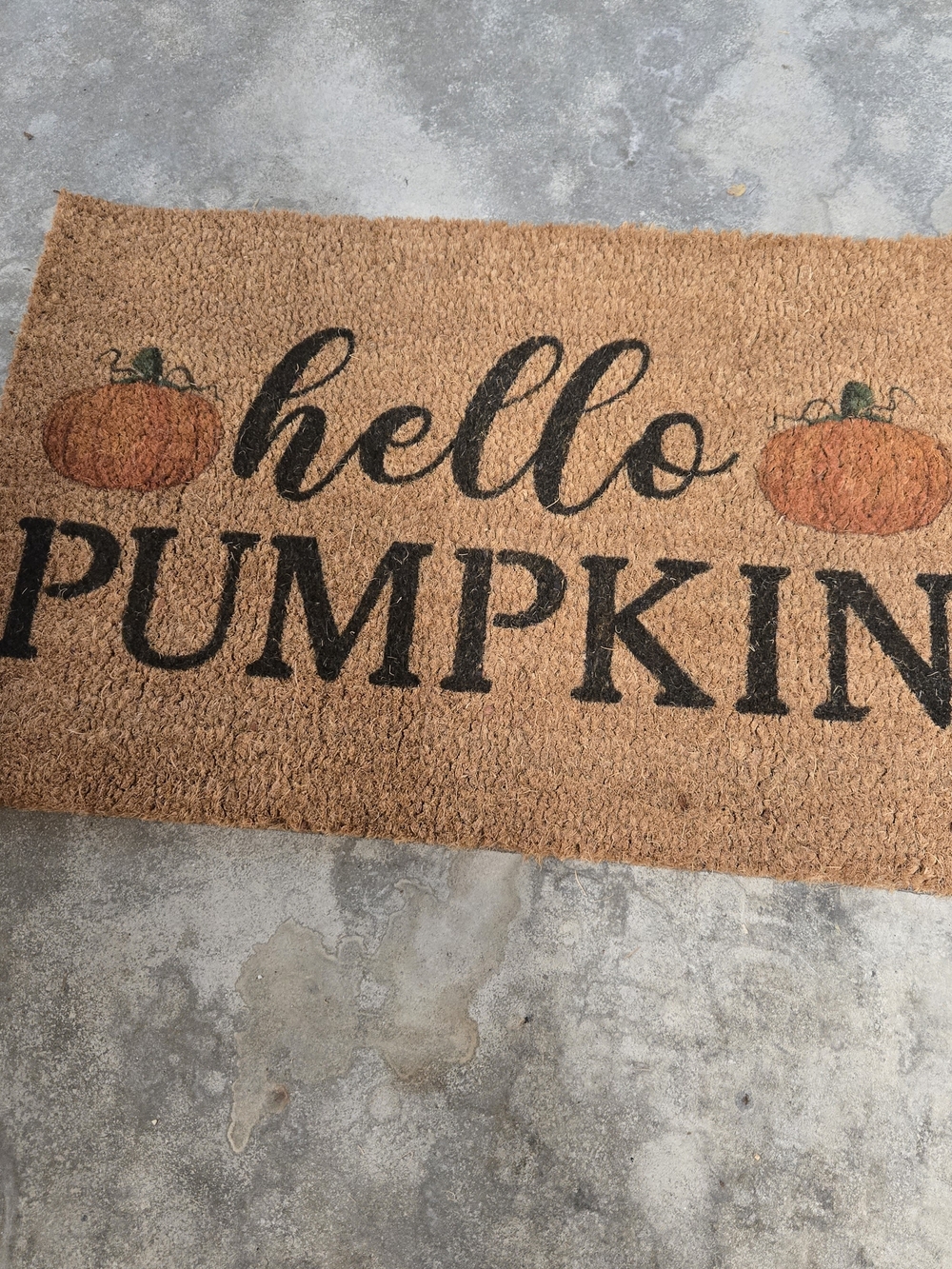 Hello Pumpkin Welcome Door Mat Halloween Thanksgiving Fall Autumn New Box 23x16